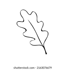 Vector illustration of an oak leaf. Doodle and outline elements of nature design. Black contour isolated on white background