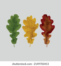 vector illustration of oak leaves of various shades, made in watercolor technique