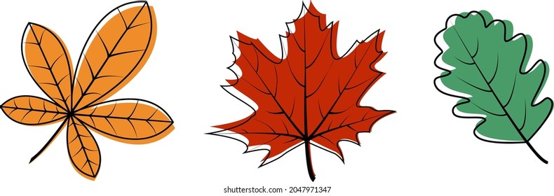 Vector illustration of oak, maple and chestnut leaves. Autumn illustration with beautiful leaves.An idea for a logo, fashion illustrations, magazines,printing on clothes, advertising, a tattoo sketch.