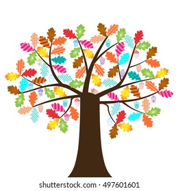 Vector illustration of a oak tree with colorful leafs and acorns on a white background