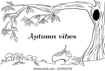 Vector illustration of oak tree with leaves, acorns and mushrooms. Black and white. For postcards and fairy tales. For coloring. Autumn vibes