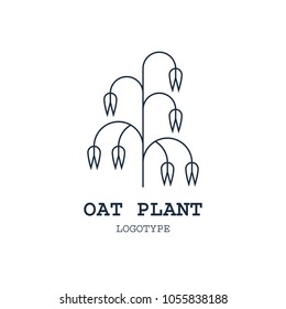 Vector illustration with oat inflorence in modern linear style. Logotype template. Oat plant.