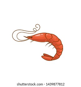 Vector illustration with ocean shrimp