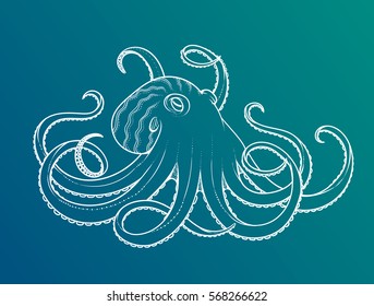 Vector illustration of octopus line art style. Design for t-shirt, posters. Sketch
