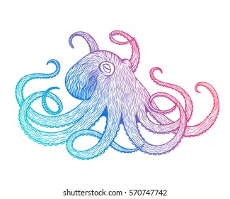 Vector illustration of octopus line art style. Design for t-shirt, posters. Sketch