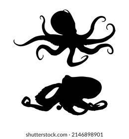 Vector illustration of octopus silhouette