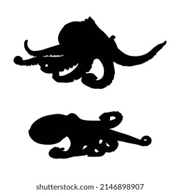 Vector illustration of octopus silhouette