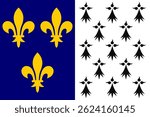 Vector illustration of the official flag of Brest, France. Heraldic city emblem in editable flat style. Ideal for cultural, historical, and identity design projects