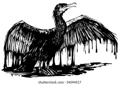 Vector illustration of an oiled cormorant (hand drawing)