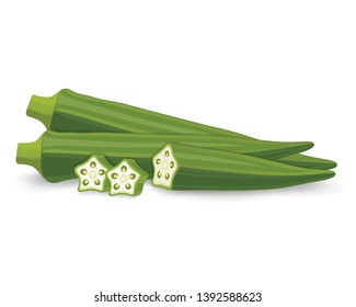 Vector Illustration Of Okra And Sliced Okra, Lady Fingers