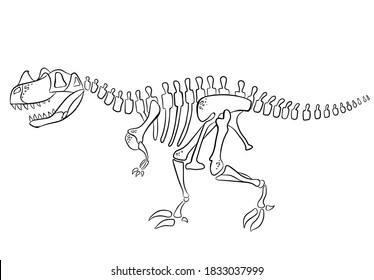 Vector illustration of old dino skeleton.