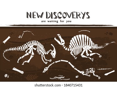 Vektorgrafik der alten Dinoskelette aus der mesozoischen Zeit, unterirdisch begraben. Neue Entdeckungen in der Archäologie.