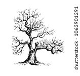 Vector illustration of an old tree without any leaves. Hand drawn in a graphic style with a pen and ink technique.