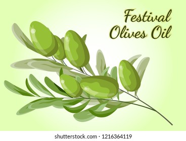 Vector illustration. Olive branch. All elements are isolated. Olive festival in Spain. Olive oil festival.