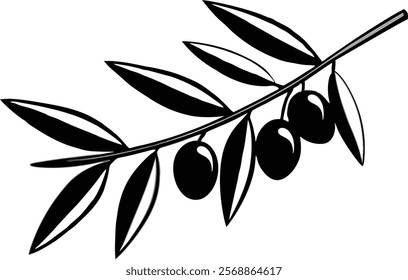 Vector Illustration of Olive Branch with Olives