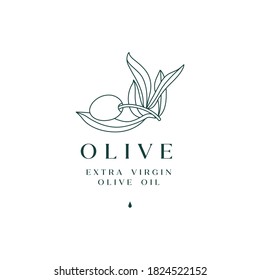 Vector illustration olive branch - simple linear style. Logo composition with olives and typography