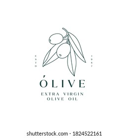 Vector illustration olive branch - simple linear style. Logo composition with olives and typography