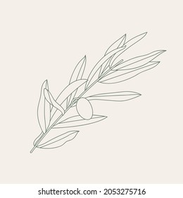 Vector illustration olive branch - simple linear style. Composition with olives