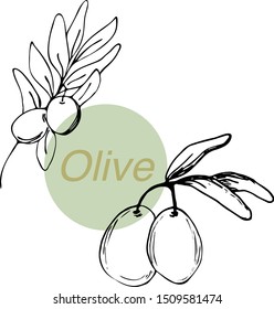 Vector illustration of an olive branch. Suitable for all types of design.