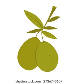 Vector illustration of an olive branch with two fruits and leaves. Organic product, symbol of peace, ingredient for oil and Mediterranean cuisine