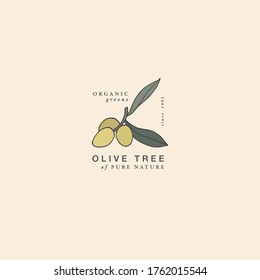 Vector illustration olive branch - vintage engraved style. Logo composition in retro botanical style
