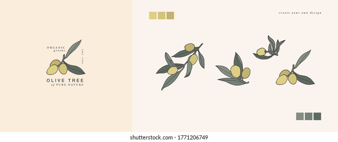 Vector illustration olive branch - vintage engraved style. Logo composition in retro botanical style