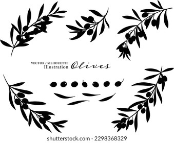 Vector illustration of olive branches