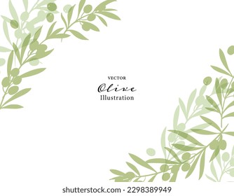 Vector illustration of olive branches - frame