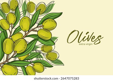 Ilustração vetorial de ramos de azeitona com azeitonas verdes e folhas sobre fundo claro. O texto "Azeitonas" e "extra virgem" é escrito de forma elegante, tornando-o ideal para embalagens de alimentos, rótulos ou