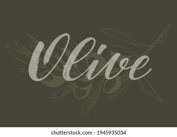 Vektorgrafik von Olive mit handgeschriebener Pinselschrift. Logotyp, Etikett, Banner oder Plakatvorlage für Produkte mit ätherischen Ölen oder organischen Kosmetika. EPS10