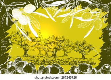 Vector illustration of Olive harvest landscape 