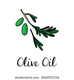 Ilustración vectorial del ingrediente de la cocina mediterránea al estilo de boceto de oliva 
