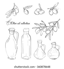 vector illustration with olives and bottles of olive oil