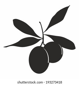 Vector illustration of olives silhouette over the white