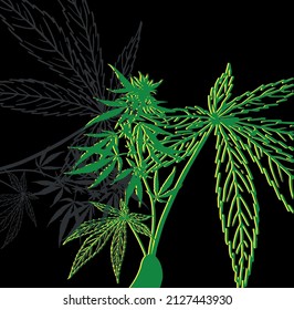 vector illustration on black background cannabis