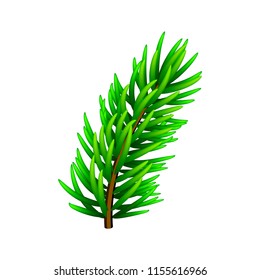 Vector illustration on Christmas tree branch isolated on white. Pine tree / fir branch. Could be used for Christmas, New year and winter decorations.