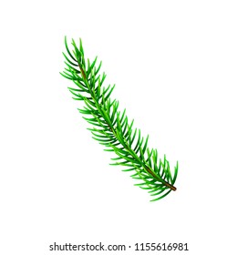 Vector illustration on Christmas tree branch isolated on white. Pine tree / fir branch. Could be used for Christmas, New year and winter decorations.