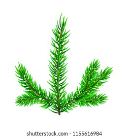 Vector illustration on Christmas tree branch isolated on white. Pine tree / fir branch. Could be used for Christmas, New year and winter decorations.