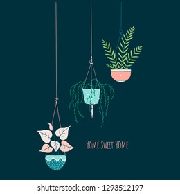 Vector illustration on dark background. Cozy card with cute home flowers in hanging pots.Lettering. Home sweet home