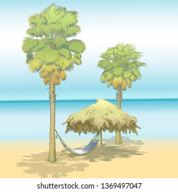 Vector illustration on a graphic tablet. Hand painting. Palm trees of California with a hammock and an umbrella from the sun.
