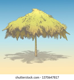  Vector illustration on a graphic tablet. Hand painting. Beach umbrellas for protection from the sun