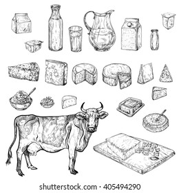 Vector illustration on a graphic tablet. Hand drawing. Cow dairy products, and set, and various cheeses.