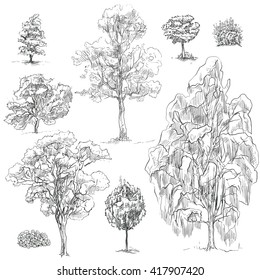 Vector illustration on a graphic tablet. Hand drawing.Set of different trees.