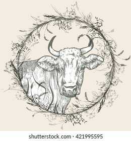 Vector illustration on a graphic tablet. Hand drawing.Cow with a wreath of herbs.