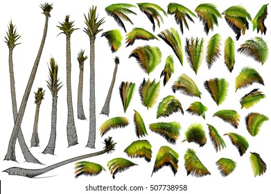 Vector illustration on a graphic tablet. Hand drawing.Set of different colored gradient branches and trunks of trees.
