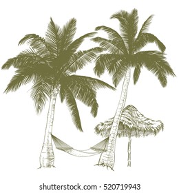 Vector illustration on a graphic tablet. Hand drawing.Palm trees with hammock.