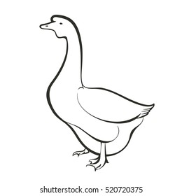 Vector illustration on a graphic tablet. Hand drawing. Silhouette goose.