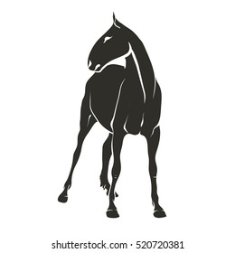 Vector illustration on a graphic tablet. Hand drawing. Silhouette of a horse standing.