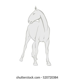 Vector illustration on a graphic tablet. Hand drawing. Standing horse.