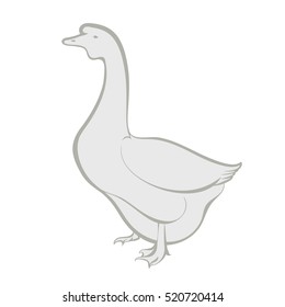 Vector illustration on a graphic tablet. Hand drawing. Silhouette goose. Grey goose.